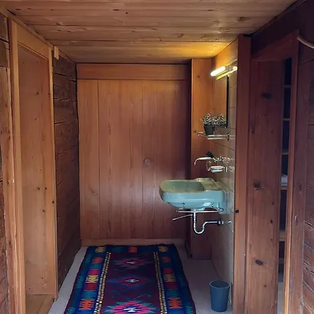 Chalet Alpen Lotus Innertkirchen Exterior photo